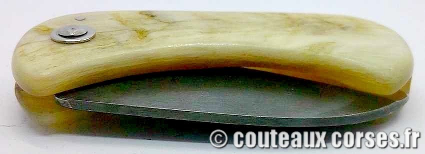 Corsican Bulldog aciercarbone et corne de bélier SKA 4-2 couteau-corse-corsican-bulldog-carbone-ska-JFGDN442-4
