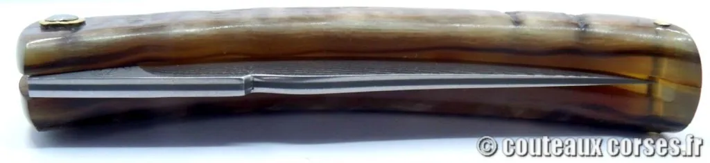 couteaux corses J Bragoni curnicciolu corne de brebis striee 114 couteaux-corses-bragoni-curnicciolu-PPMFGD800-3