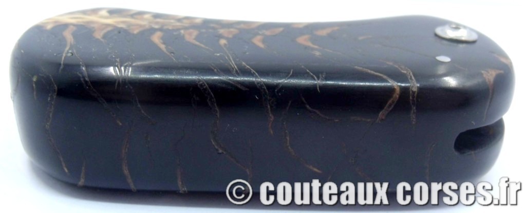 Corsican Bulldog aciercarbone et corne de bélier SKA 4-2 couteau-corse-corsican-bulldog-carbone-ska-SKA_CBCB-SKA_CBCB-HNFD963-3