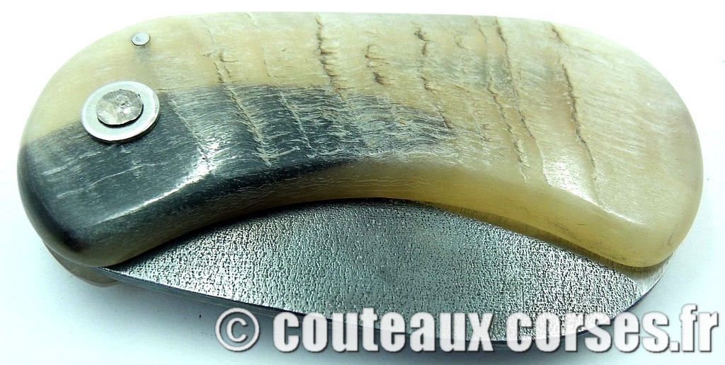"Corsican Bulldog" acier carbone couteau-corse-corsican-bulldog-ska-a1-1.jpg