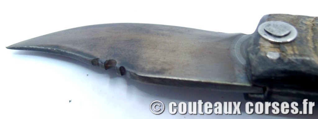 Couteau artisanal corse, A Vellutini 6 19cc couteaux-corses-vellutini-MFFGTZ852-8