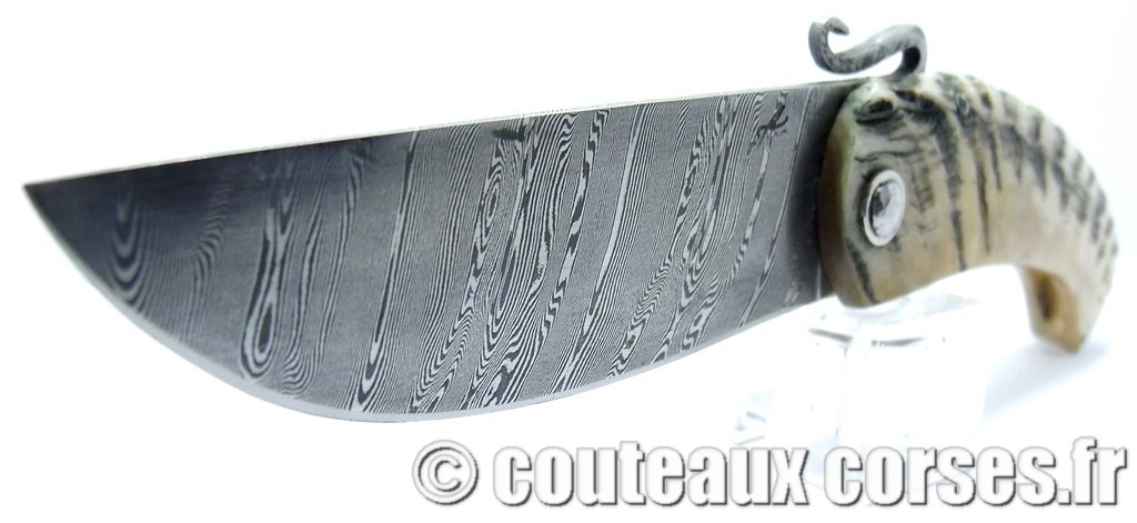 couteau corse artisanal piémontais corne bélier et acier carbone Couteau-corse-agostini-pmc-MRTPF159-1