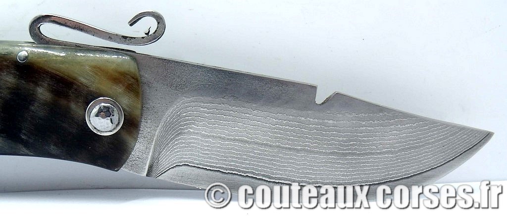 Couteau-corse-agostini-DCVXZP147-6