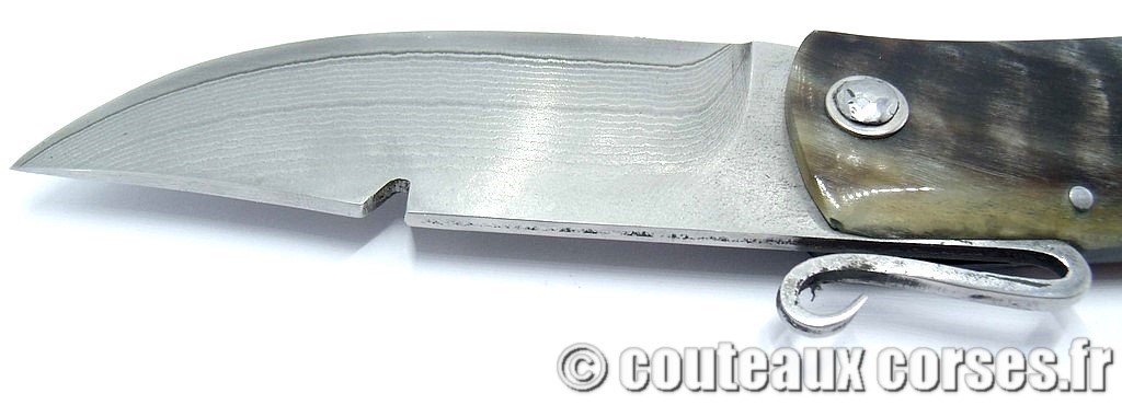 Couteau-corse-agostini-DCVXZP147-4