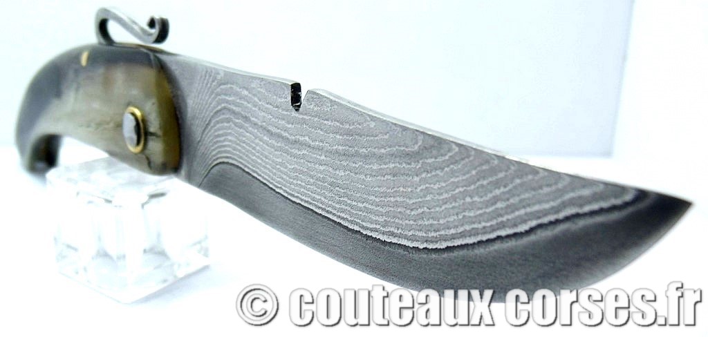 Couteau-corse-agostini-VFDRP725-1