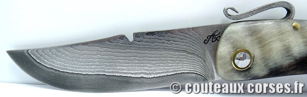 couteau corse artisanal piémontais corne bélier et acier carbone Couteau-corse-agostini-VFDRP725-6