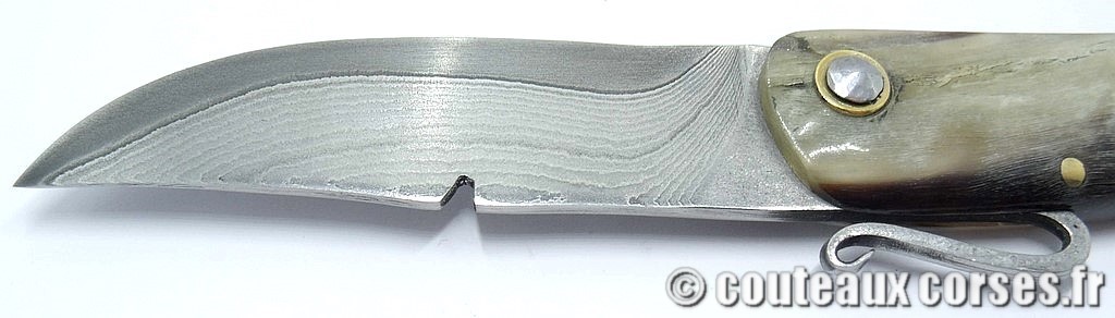 Couteau-corse-agostini-VFDRP725-4