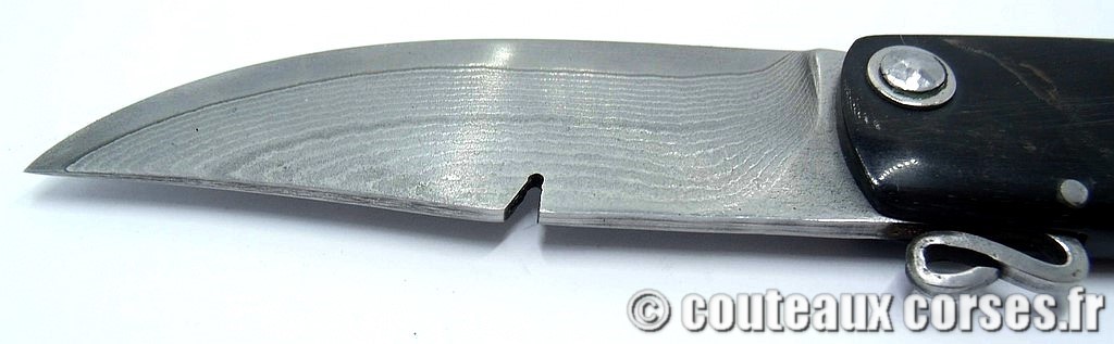 Couteau-corse-agostini-MRTP067-4