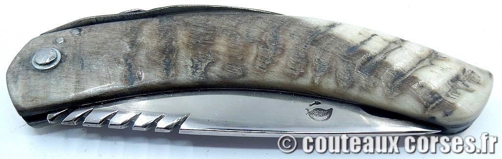 Couteau artisanal corse, A Vellutini cc3 couteau-cran-arret-vellutini-HDCCXP800-8