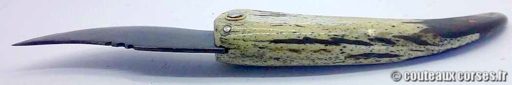Couteau artisanal corse, A Vellutini 71 7cc Curnicciolu lame acier inox trempe douce 3.0 mm manche bouc-FGDSQ997-7.