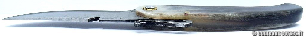 Couteau-corse-agostini-DFSPMV861-3.jpg