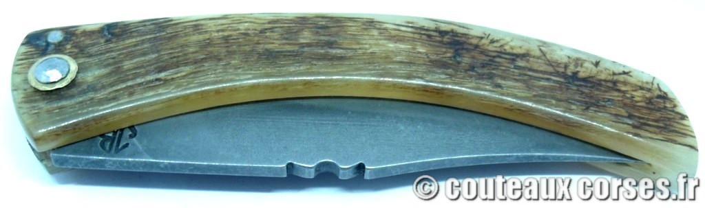 Curnicciolu corne de brebis et acier carbone xc75 112 couteaux-corses-bragoni-curnicciolu-MSDFQ623-1