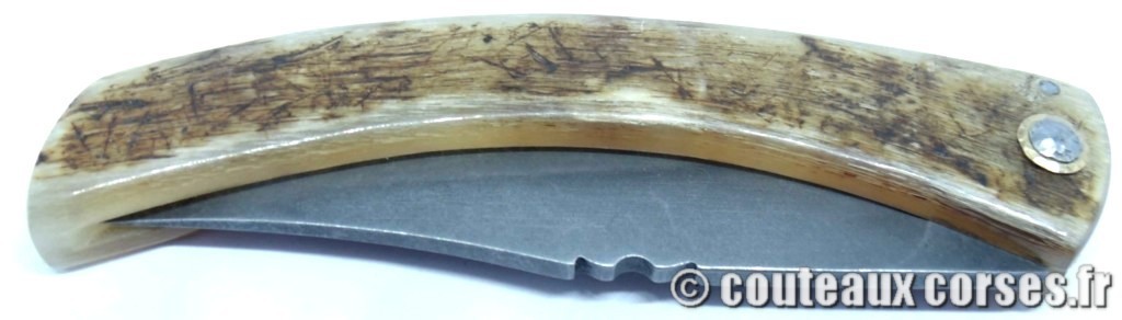 couteau corse corne de brebis 116 couteaux-corses-bragoni-curnicciolu-MSDFQ623-12