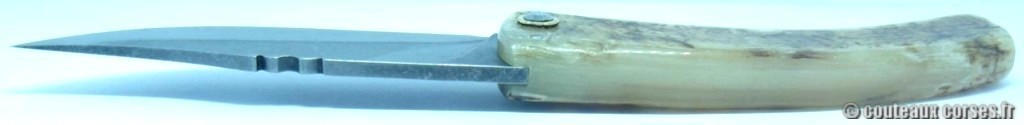 couteau corse corne de brebis 118 couteaux-corses-bragoni-curnicciolu-MSDFQ623-18