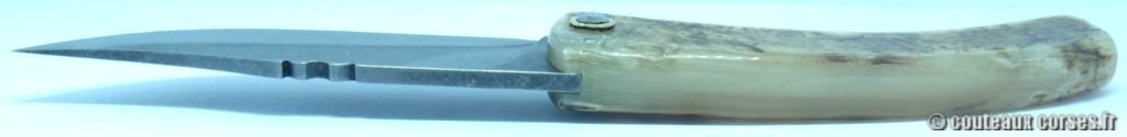 couteau corse corne de brebis 118 couteaux-corses-bragoni-curnicciolu-MSDFQ623-18