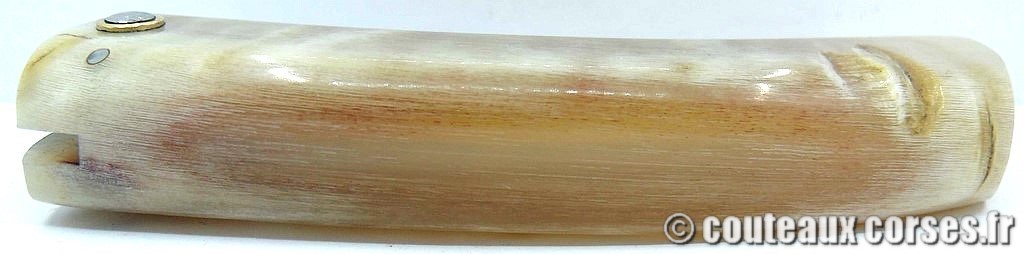 couteau corse corne de brebis 116 couteaux-corses-bragoni-curnicciolu-HJBV843-4