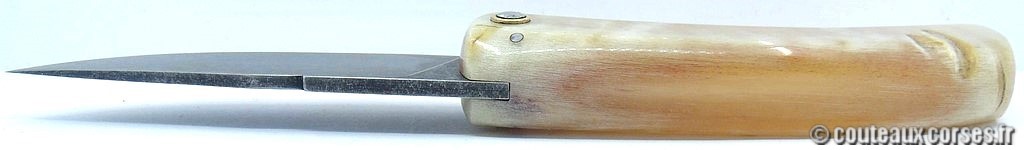 couteau corse corne de brebis 118 couteaux-corses-bragoni-curnicciolu-HJBV843-8