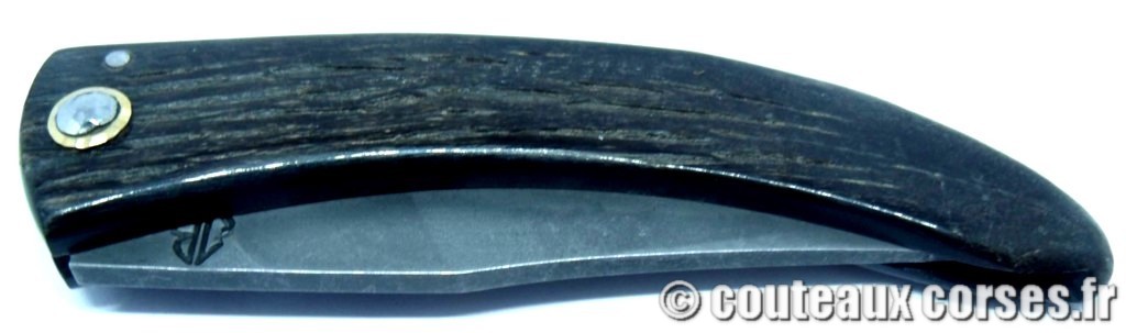 Curnicciolu corne de brebis et acier carbone xc75 112 couteaux-corses-bragoni-curnicciolu-VBERH444-1