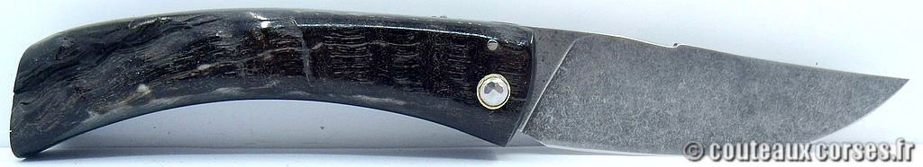 curnicciolu corne de brebis et acier carbone J Bragoni 115 couteaux-corses-bragoni-curnicciolu-_PLBG741- 6