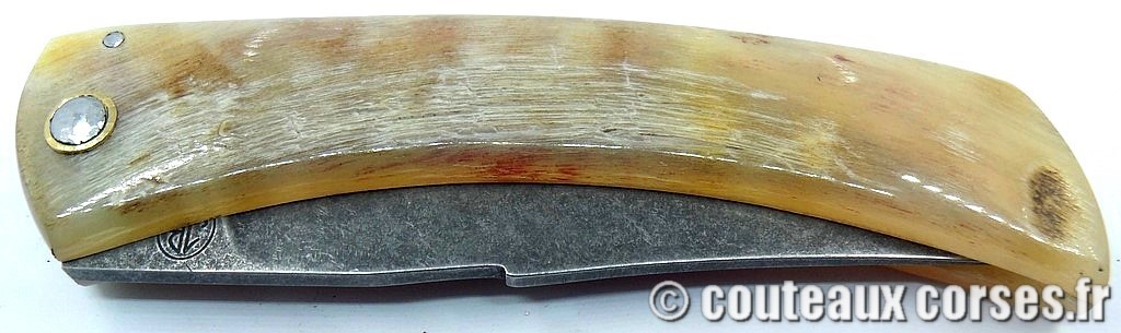 Curnicciolu corne de brebis et acier carbone xc75 112 couteaux-corses-bragoni-curnicciolu-JNTR861-1