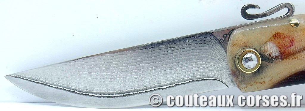 couteau corse artisanal piémontais corne bélier et acier carbone Couteau-corse-agostini-MNFG806-6