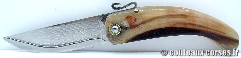 couteau corse artisanal piémontais corne bélier et acier carbone Couteau-corse-agostini-MNFG806-5