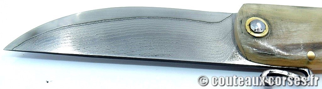 Couteau-corse-agostini-MNFG806-4
