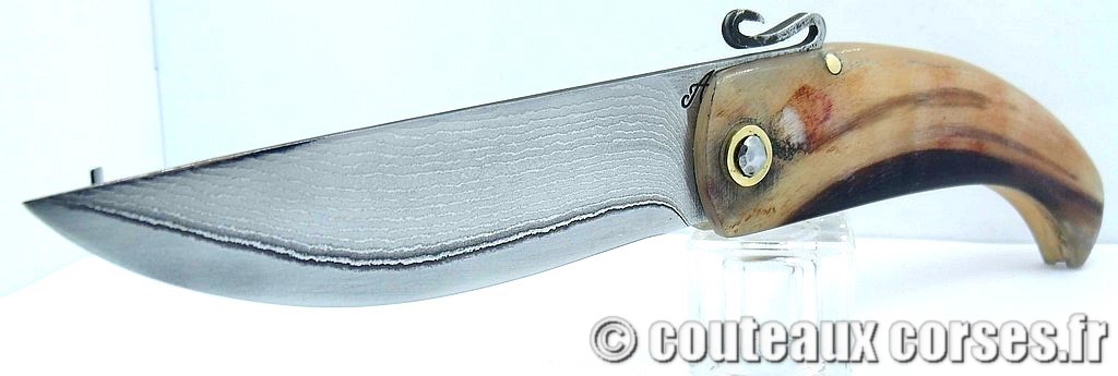 couteau corse artisanal piémontais corne bélier et acier carbone Couteau-corse-agostini-MNFG806-1