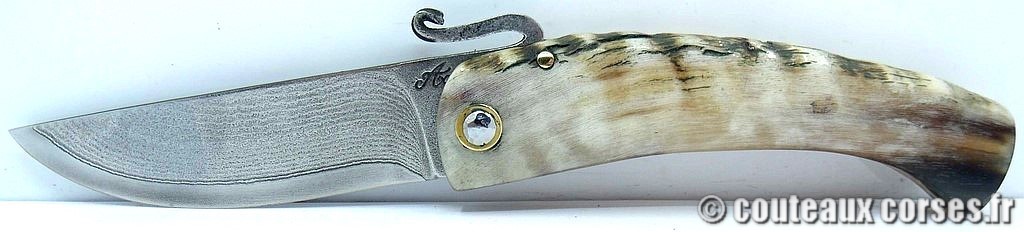 couteau corse artisanal piémontais corne bélier et acier carbone Couteau-corse-agostini-XCUY805-5
