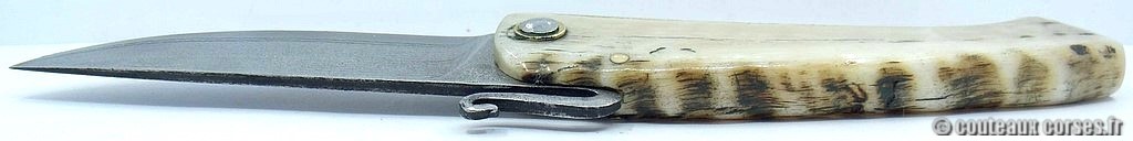 Couteau-corse-agostini-XCUY805-3