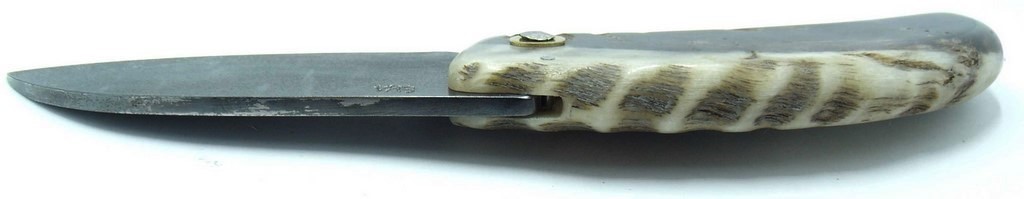 curnicciolu-corne-bélier-ska-MFGPR852-7