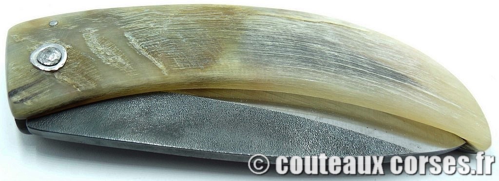 curnicciolu-corne-bélier-ska-VBRPT546-2