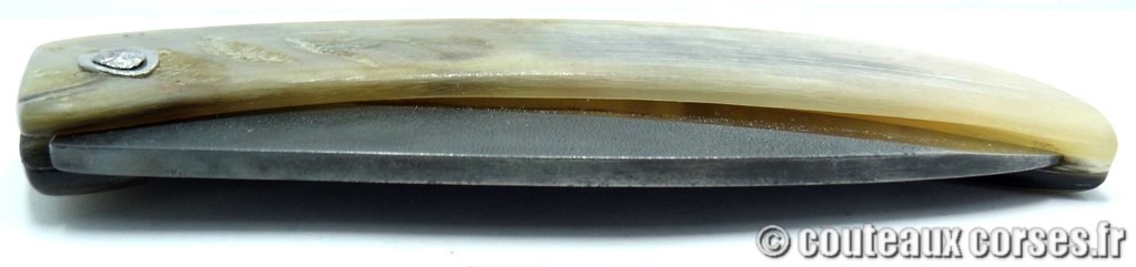 curnicciolu-corne-bélier-ska-VBRPT546-3