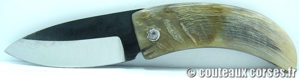 curnicciolu-corne-bélier-ska-VBRPT546-5