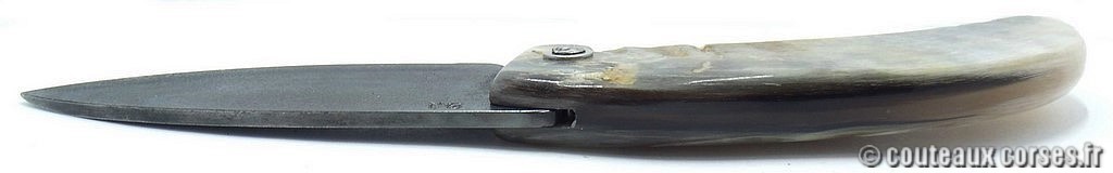 curnicciolu-corne-bélier-ska-VBRPT546-7