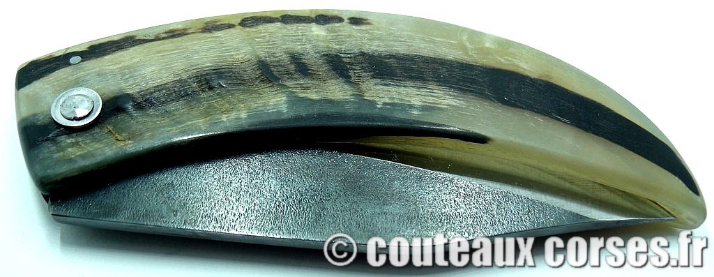 curnicciolu-corne-bélier-ska-MDSTN987-2