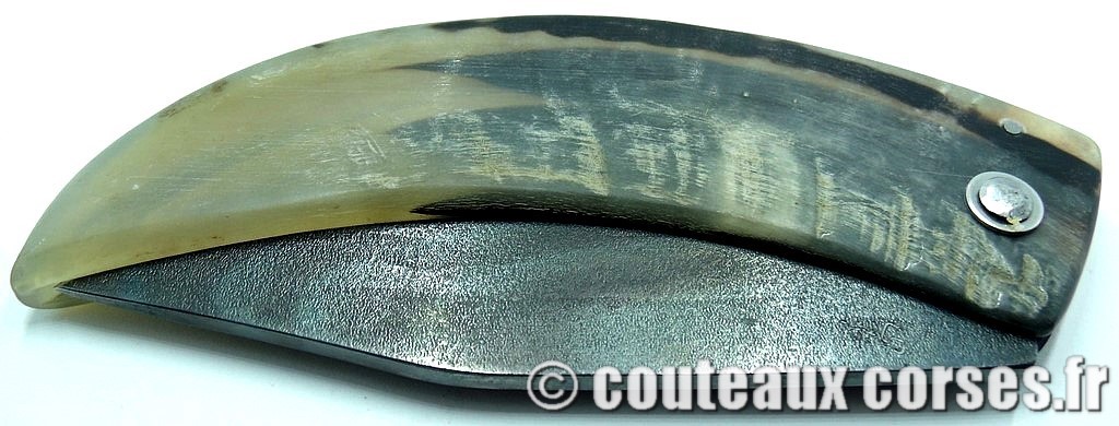 curnicciolu-corne-bélier-ska-MDSTN987-2