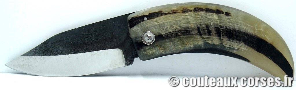 curnicciolu-corne-bélier-ska-MDSTN987-5