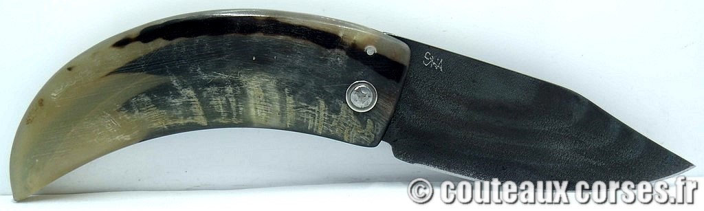 curnicciolu-corne-bélier-ska-MDSTN987-6