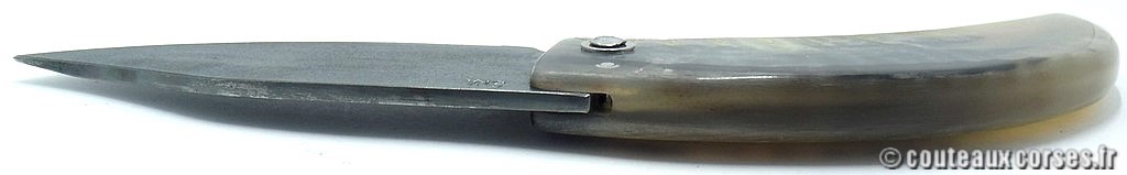 curnicciolu-corne-bélier-ska-MDSTN987-7
