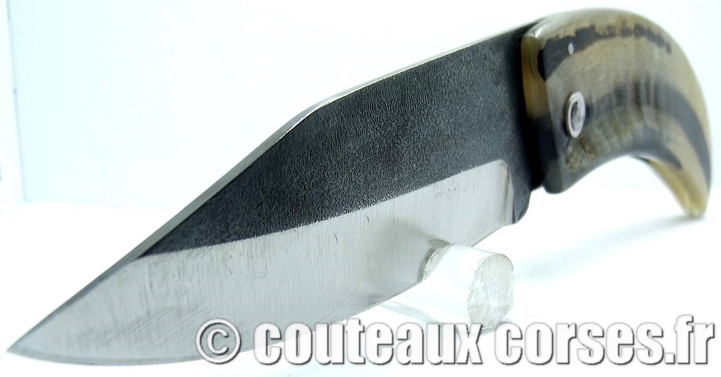 Curnicciolu corne de belier et acier carbone 22 curnicciolu-corne-bélier-ska-MDSTN987-1