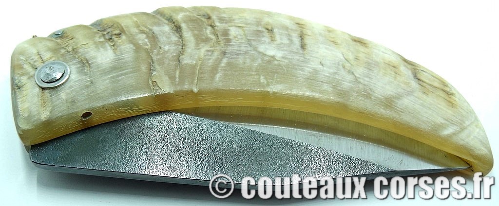 curnicciolu-corne-bélier-ska-VBRZP943-2