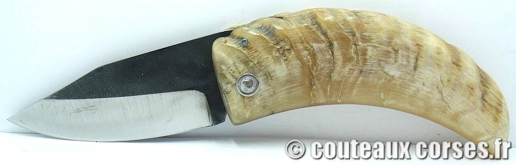 curnicciolu-corne-bélier-ska-VBRZP943-5
