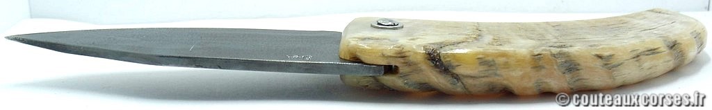 curnicciolu-corne-bélier-ska-VBRZP943-7