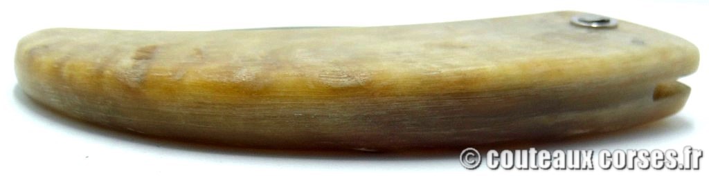 curnicciolu-corne-bélier-ska-DGTRP805-4
