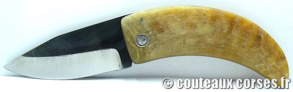 curnicciolu-corne-bélier-ska-DGTRP805-5
