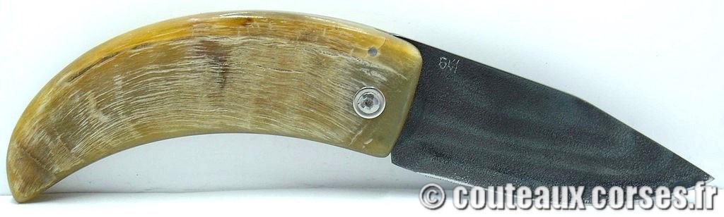 curnicciolu-corne-bélier-ska-DGTRP805-6