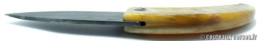 curnicciolu-corne-bélier-ska-DGTRP805-7