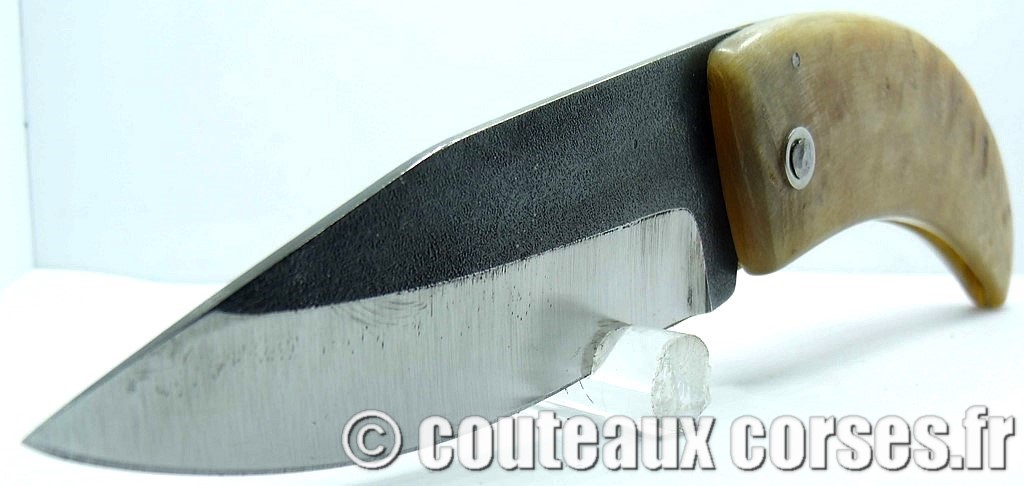 Curnicciolu corne de belier et acier carbone 22 curnicciolu-corne-bélier-ska-DGTRP805-1