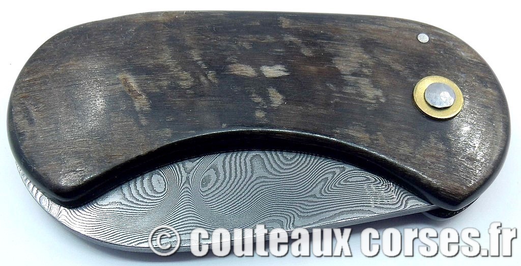 "Corsican Bulldog" acier carbone résine et pomme de pin 2 couteau-corse-corsican-bulldog_carbone-ska_MSDR843-2